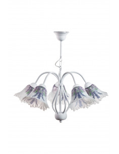 ŻYRANDOL PROWANSALSKI BIAŁY 5L